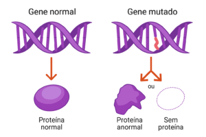 Um gene mutado pode dar origem a erros no processo de produção de proteínas